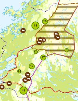 Beitesesongen 2016 188 sau/lam dokumentert eller antatt drept av bjørn 19 stk