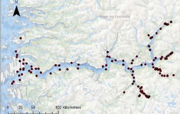 Estimated migration survival Based on calculated detection efficiency and