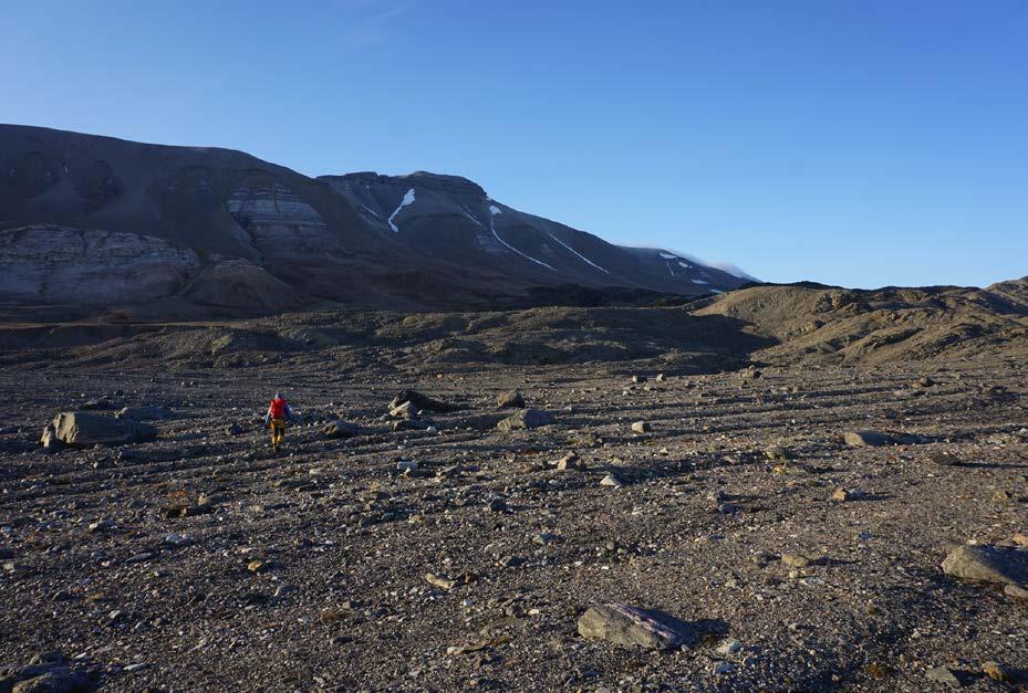 Sørsiden av Adolfbukta ble undersøkt i 2015 og kartet ble ferdiggjort i løpet av høsten 2015.