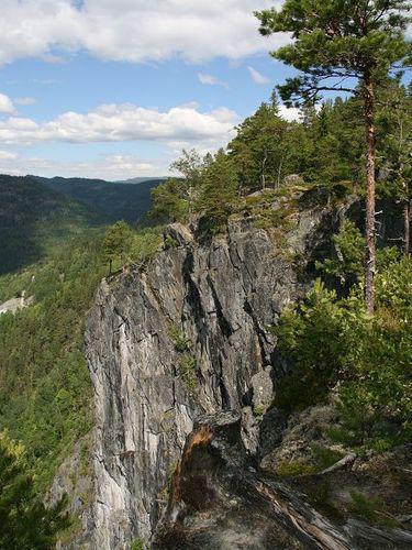 Forslag til vern av Tokkeåi naturreservat i Tokke og Vinje kommunar,