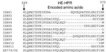 Hva er ILA HPR0-virus?