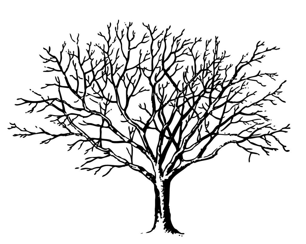 Rekursjon på trær (eksempel 3:3) map er definert for lister: tree-map kan defineres for lister av lister: (define (tree-map proc tree) (cond ((null? tree) '()) ((pair?