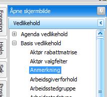 anmerkning på aktør og benytte opplysningen f.eks. i tilknytning til opplysningsfelter aktør eller i CRM-skjermbildet.