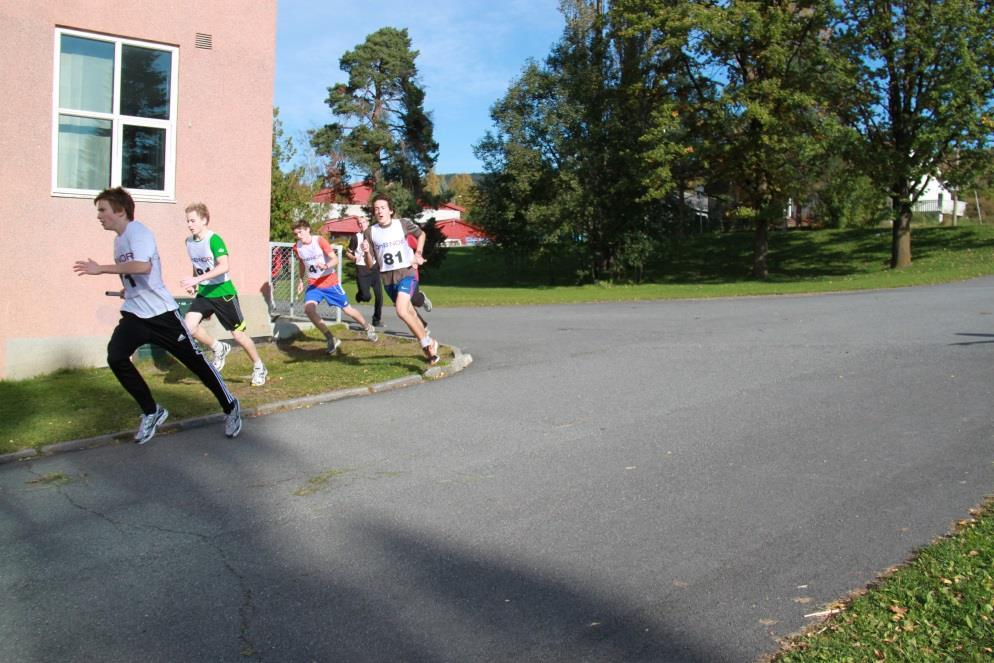 ansvarlig, prosjektleder Søknaden går gjennom