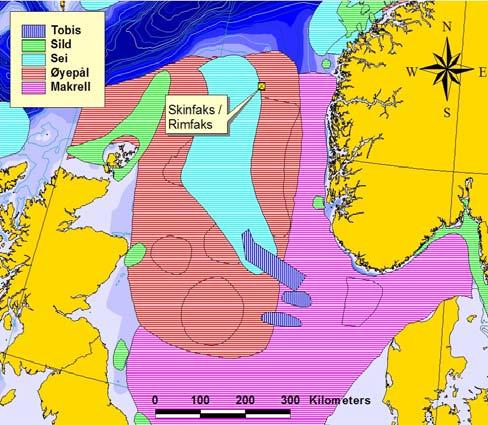 5.5 Fisk og fiskerier 5.5.1 Ressursbeskrivelse Flere kommersielt viktige fiskeslag har sine gyte- og oppvekstområder i Nordsjøen.