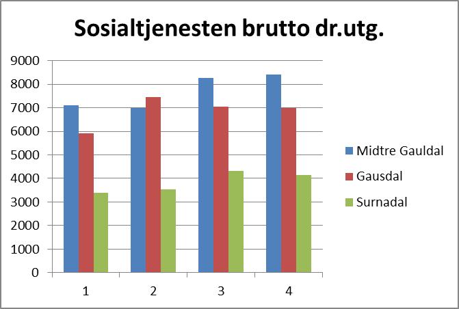 Økonomisk sosialhjelp brutto driftutgifter enhet 1000 kr.