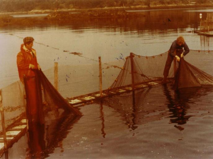 Kontinuerlig teknologiutvikling gjennom 40 år!