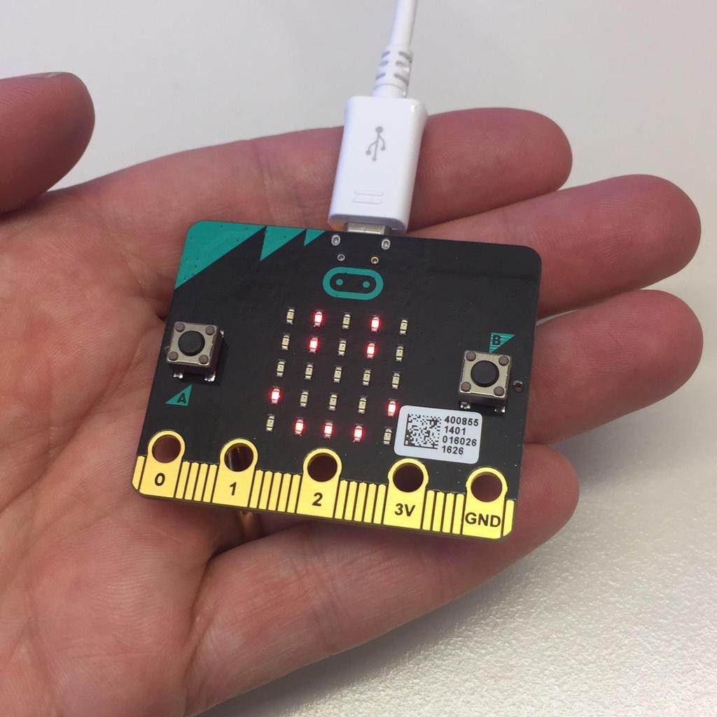 Microbit er en såkalt mikrokontroller som vi kan programmere til å få motorer (servoer) til å bevege
