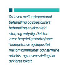 Grensen mellom kommunal behandling og spesialisert behandling er ikke alltid skarp og entydig Betydelige variasjoner i kompetanse og kapasitet mellom kommuner / bydeler - nærmere arbeids- og