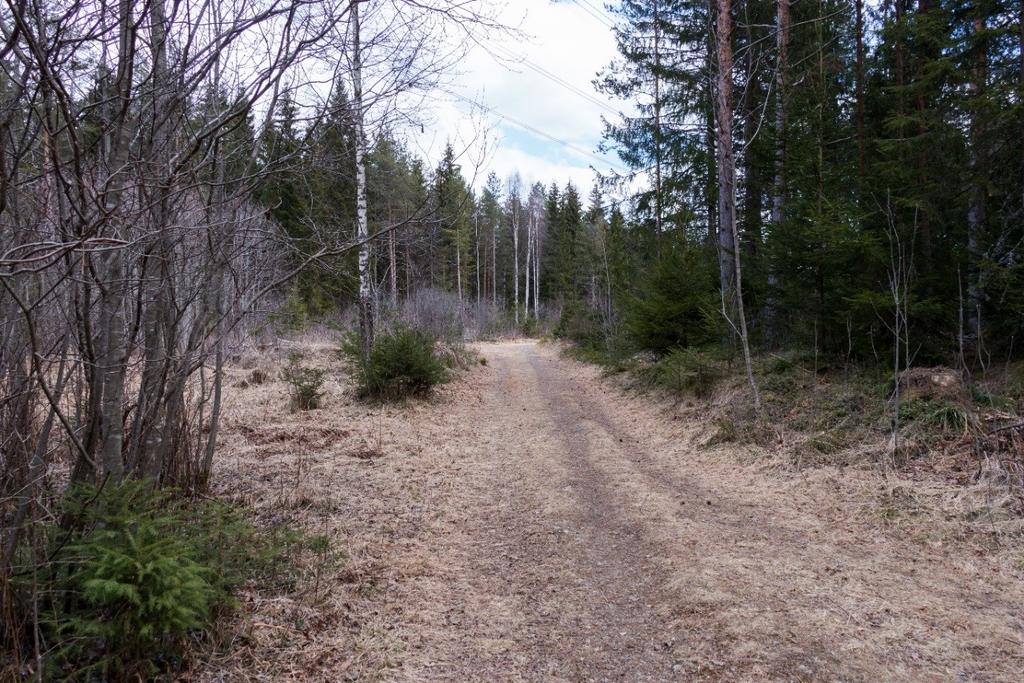 Indre Hadelandsvei sett mot Ø. Foto: U. T. Grøtberg 27.04.2016. Veifaret fremstår som en til dels grasdekt traktorvei med stedvis oppbygd veglegeme.