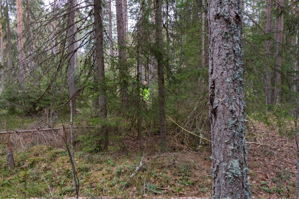 Fangstgrop R6 med Ø. R. Andersen, sett mot NNV. Foto: U. T. Grøtberg 27.04.