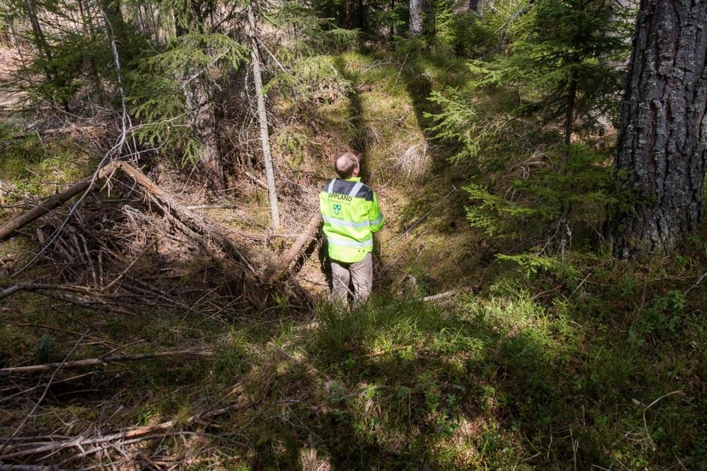 Fangstgrop R7 med Ø. R. Andersen, sett mot N. Foto: U. T. Grøtberg 27.04.2016.