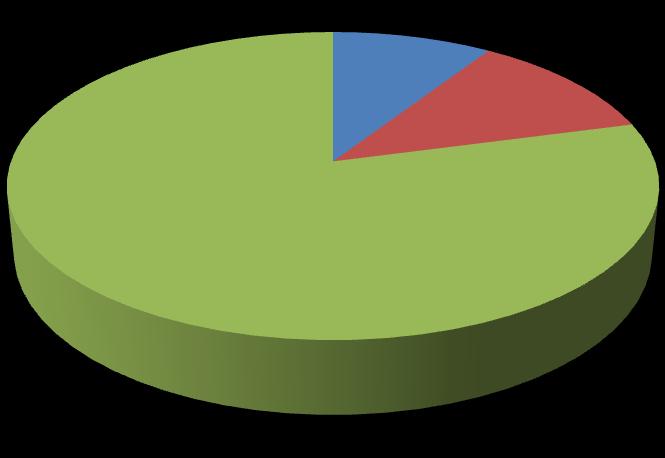 Figuren under viser at det er 79% av kommunens i låneportefølje som direkte belaster kommunens økonomi. Diagram 1.