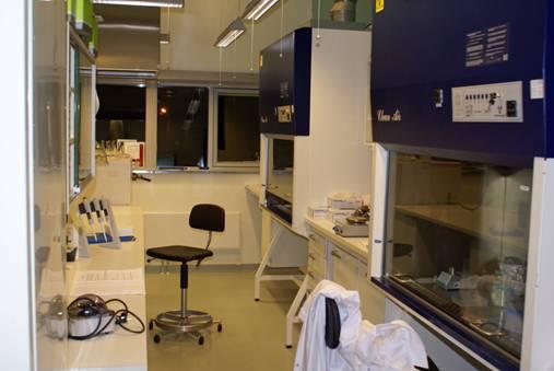 Laboratory facilities IV Molecular laboratory for studies of gene expression.