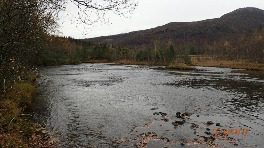 med forskjellige substrat og strømhastighet. Fangstbarhet ble vurdert som god. Det ble totalt fanget 37 fisk, derav 21 laksunger fordelt på 3 generasjoner 0+ (yngel), og 1+ og 2+ laksunger.