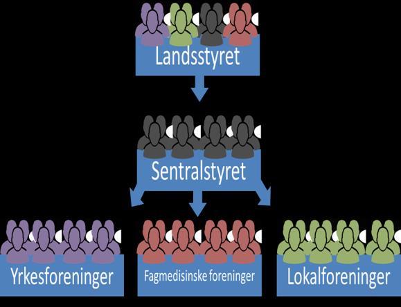 2. Bakgrunn 2.1 Legeforeningen - én forening, tre søyler. Arbeidsgruppen er gitt et avgrenset mandat til å vurdere organiseringen av den fagmedisinske akse.