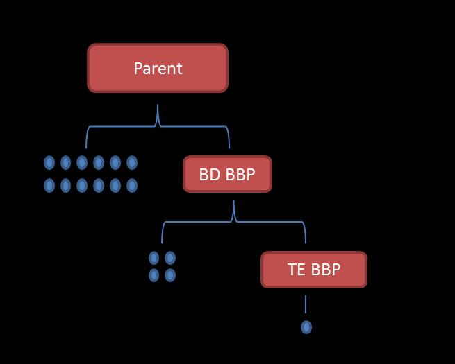 Team Elite BBP 1. Kvalifisering.