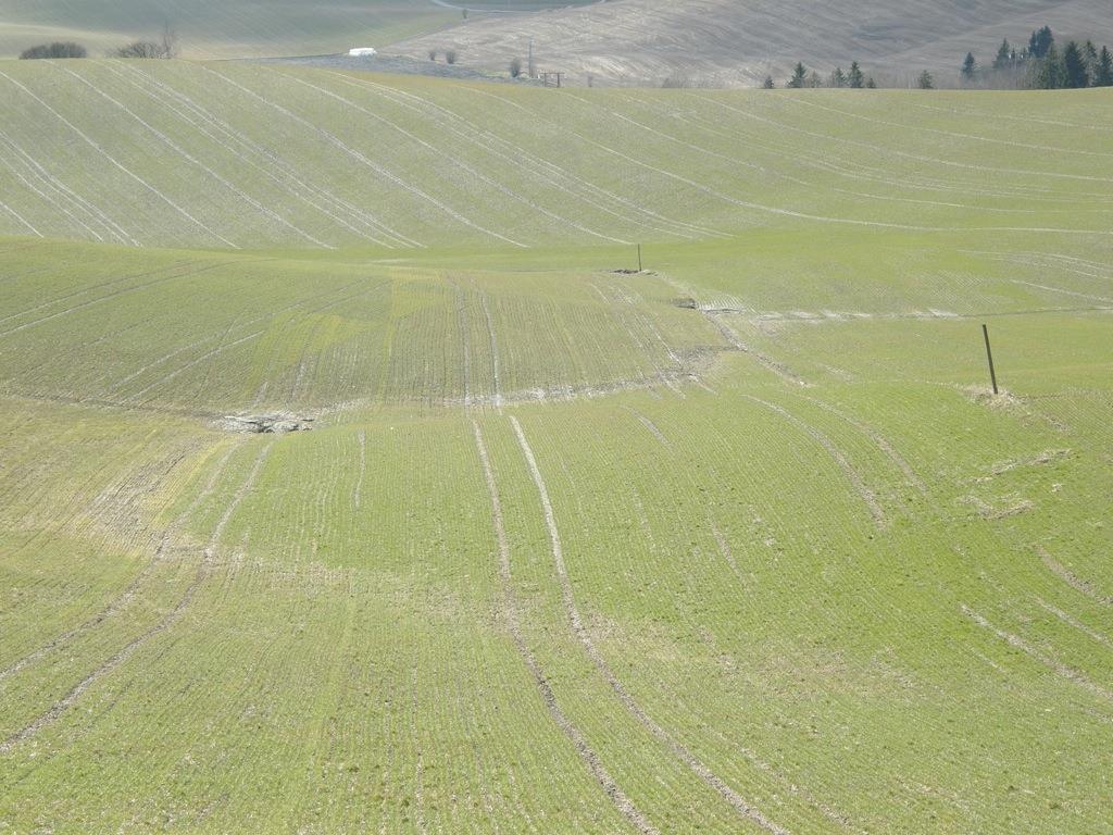 Ravinelandskapet er i dag preget av bekkelukking og bakkeplanering Store lukkingsanlegg i marin leire kombinert med bakkeplanering på 60-70-80-tallet 400 000 dekar er bakkeplanert i Norge