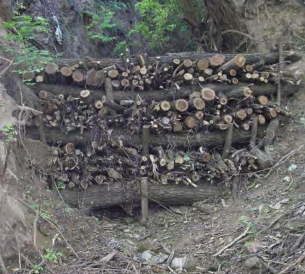 Sårbare punkter - undergraving Kvistdam som er montert i et stort erosjonsspor (Slovakia).