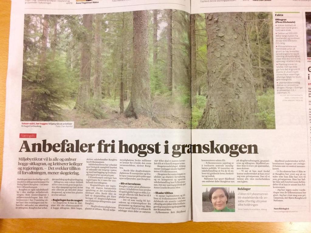 Nationen Nationen laget sak om uhildet miljøbyråkrat fra Fylkesmannen i Sør-Trøndelag 28.november 2016.