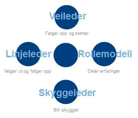 I tillegg til disse vil vi kunne forespørre ledere på Avdelings- og Enhetsnivå som i dag fremstår som rollemodeller og som kan være gode skyggeledere.