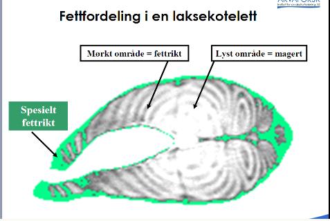 Variasjon i fettinnhold a) b) Bæverfjord&Rye, 1994. c) 9% 15% 18% 18% 22% Einen m.fl.