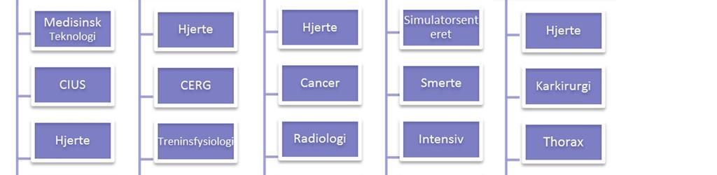 Radiografi miljøet er illustrert som egen midlertidig enhet der leder er programrådsleder for radiografiutdanningen Vi har i dag ingen fungerende fagenhetsleder i sirkulasjonsgruppen,