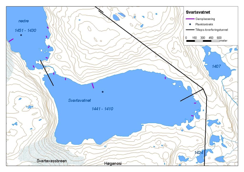 ..3 Svartavatnet Svartavatnet (innsjønummer 57) ligg i Aurlandsvassdraget i Aurland kommune (figur ). Vatnet er,68 km² stort, høgaste regulerte vasstand er,5 moh. og reguleringshøgda er 3,5 meter.