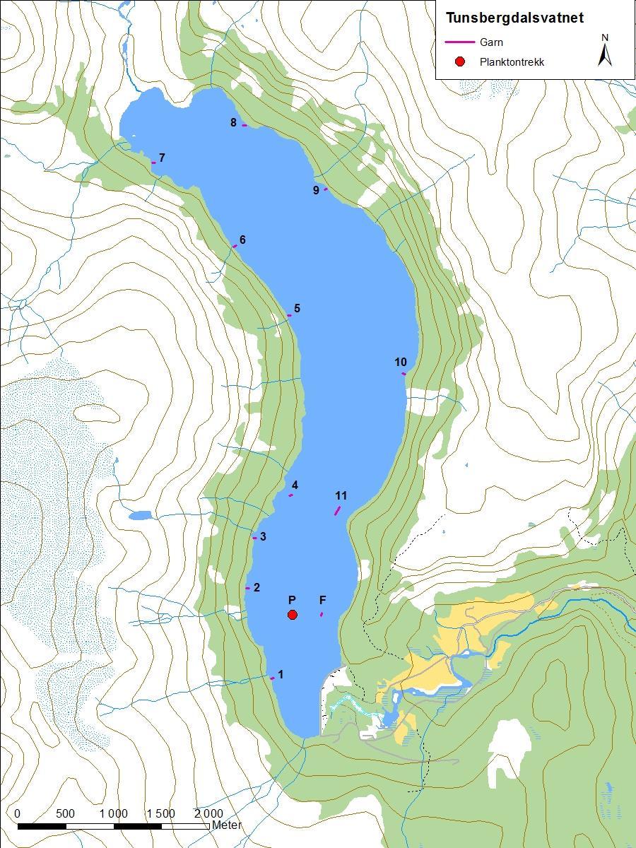 4.2 Statkraft Det vart undersøkt eitt vatn for Statkraft i 2014, og det var Tunsbergdalsvatnet i Luster kommune. Undersøkinga vart gjennomført i perioden 30. til 31. juli. 4.2.1 Tunsbergdalsvatnet Tunsbergdalsvatnet (innsjønummer 825) ligg i Jostedalen i Luster kommune (figur 1).