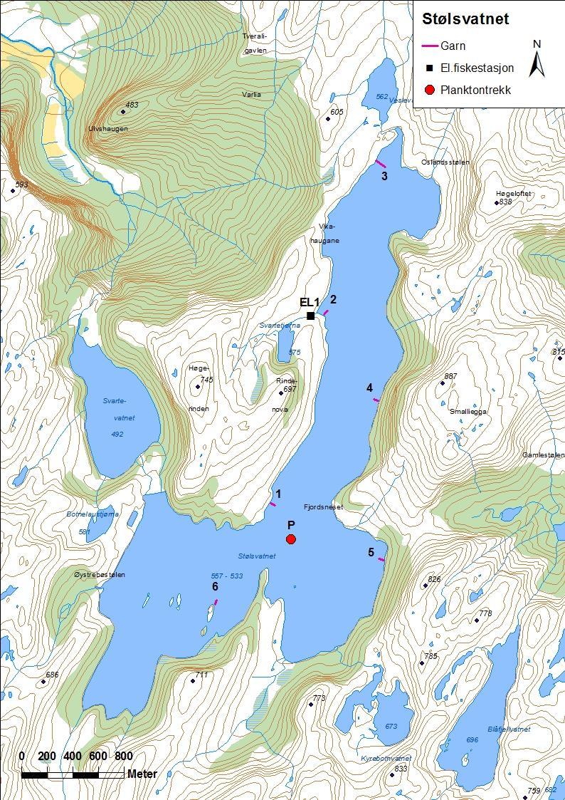 4.3.4 Stølsvatnet Stølsvatnet (innsjønummer 1449) ligg i Øystrebøelva i Høyanger kommune (figur 14 og bilete 2). Magasinet er 3,76 km² stort, høgaste regulerte vasstand er 557 moh.