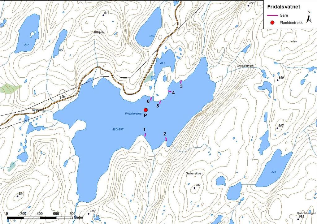 4.3.4 Fridalsvatnet Fridalsvatnet (innsjønummer 1454) ligg i Førdeelva i Høyanger kommune (figur 17). Magasinet er 1,32 km² stort, høgaste regulerte vasstand er 685 moh.
