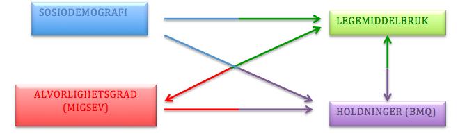 Figur 2.1.1: Figuren illustrer sammenhengen mellom de ulike delene som skal undersøkes i denne masteroppgaven.