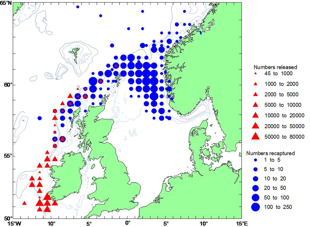 Merke-gjenfangst metodikk for makrell Estimering av makrellbestanden med stålmerker har indikert forskjellig bestandsutvikling enn offisiell ICES har tatt med disse endringene i Benchmark 2014