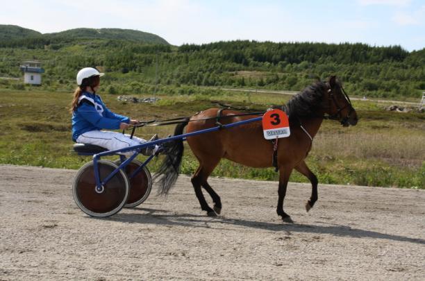 12. PONNIGRUPPEN Årsberetning fra Ponnigruppa i Bodø Travlag 2009 Ponnigruppa har møttes jevnlig til trening på banen, hver 14 dag, med et godt oppmøte. Fra mai til slutten av oktober.