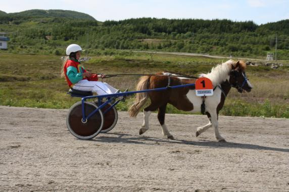 Dessverre var det få deltakere, men resultatene var gode. Tre av våre ponnier rekordforbedret seg, Adeles Toria, Bessi og Tomtebo Fia. Tomtebo Fia gikk også ny banerekord.