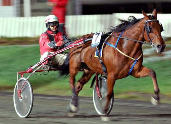 10. SPORTSLIGE RESULTATER/OVERSIKTER FACE THE ENEMY, vi bøyer oss i støvet og tar av oss hatten.