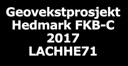 Geovekstprosjekt Hedmark FKB-C 2017 LACHHE71 Dekkes av
