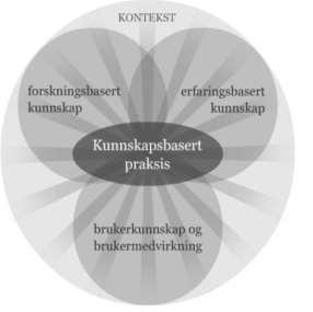 langt er det kun Acos med CosDoc som har vært behjelpelige og bidratt til gjennombrudd i arbeidet ved å tilrettelegge for testing av ICNP og veiledende planer.