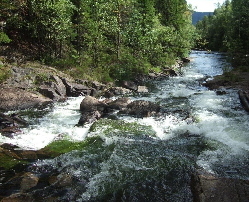 Grunnmuren i et nøtteskall I henhold til naturmangfoldloven 7 skal prinsippene i naturmangfoldloven 8-12 legges til grunn som retningslinjer ved utøving av offentlig myndighet, og det skal fremgå av