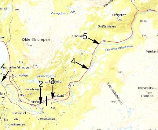 Elektrofiske Det var generelt flat botn med grussubstrat i Amunddalselva. Slike forhold gir lite skjul for fisk, og er dårlig egnet for elektrofiske.