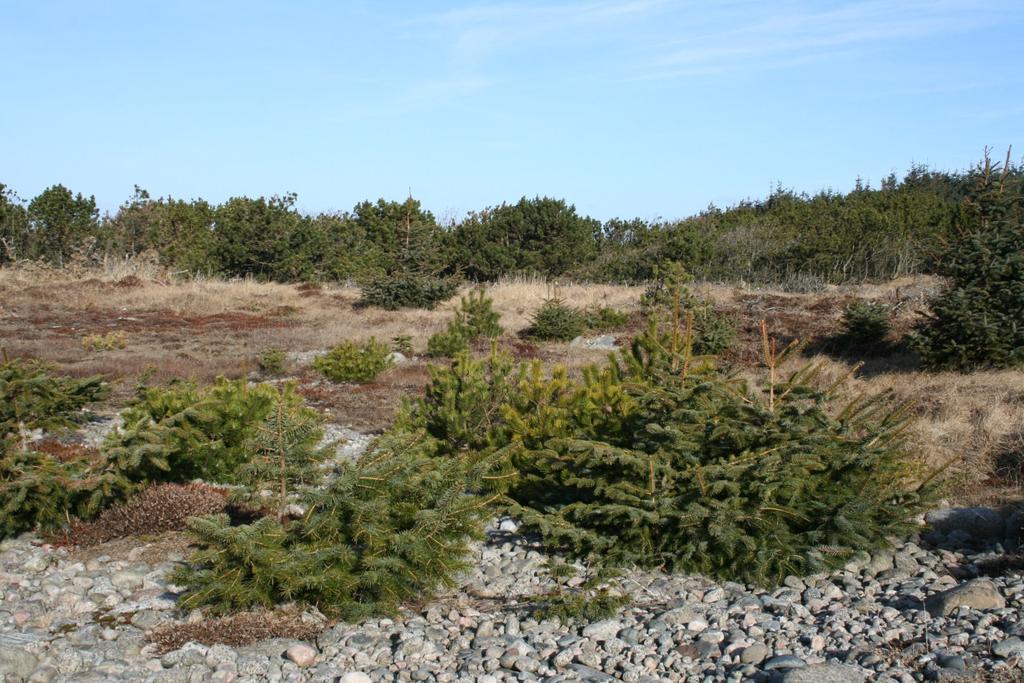1.3 Naturmangfoldet i Vest-Agder Vest-Agder har stor variasjon i naturtyper fra artsrike edelløvskoger ved kysten til skrinne fjellområder med få arter.