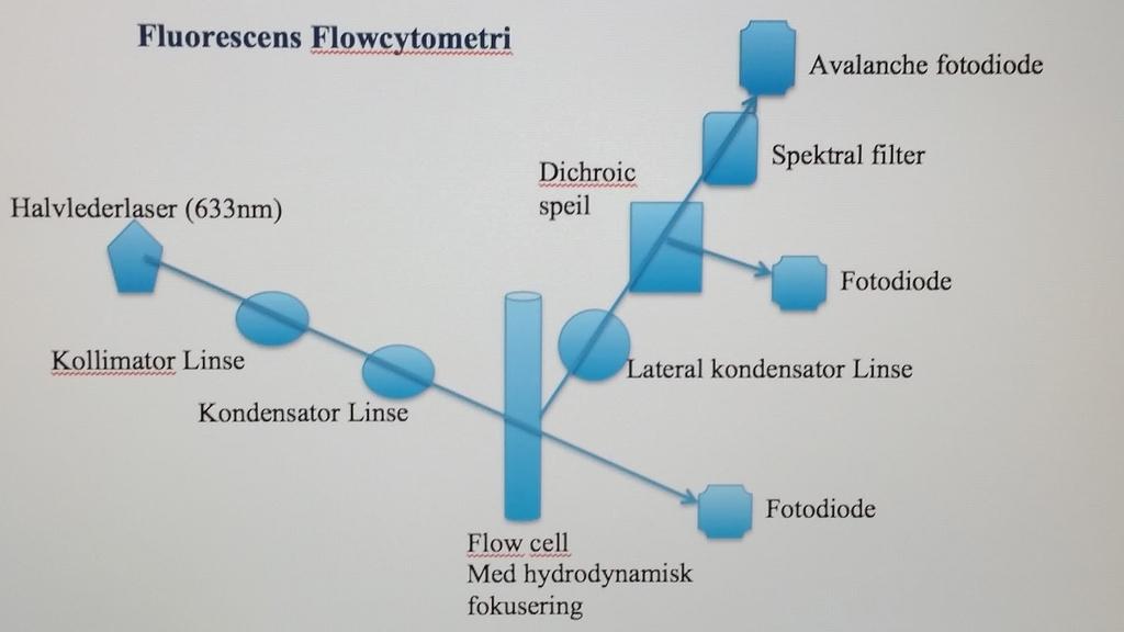 Fluorescens flowcytometri består av: Se figur 7.