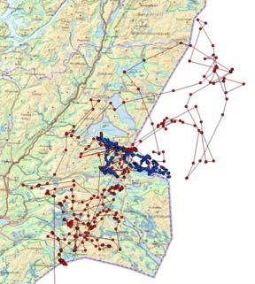 KM NORD TRØNDELAG FORELØPIGE TALL