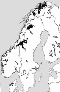 ikke smågnagere Finnmark 95% Nord Trøndelag 10