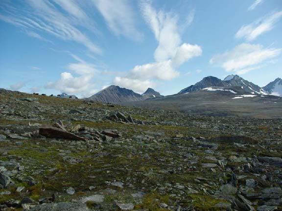 begrensinger og konflikter Scenarier