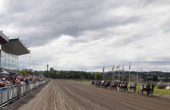 Midtsommertravet 2017 Årets høydepunkt arrangeres på Leangen Travbane fredag 23. juni og lørdag 24.