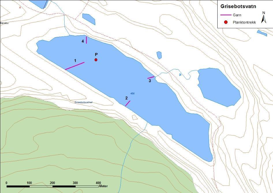 4.3.3 Grisebotsvatnet Grisebotsvatnet (figur 10 og bilete 4) ligg i Flora kommune. Vatnet er 0,14 km 2 stort og ligg 456 moh.