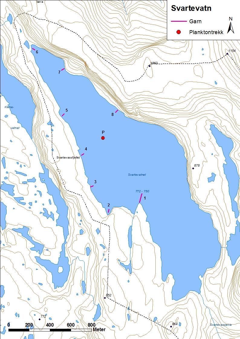 4.3.4 Svartevatnet II Svartevatnet II (figur 13 og bilete 5) ligg i Bremanger kommune. Vatnet er 1,52 km 2 stort, ligg 772 moh. og har ei reguleringshøgd på 22,3 meter.