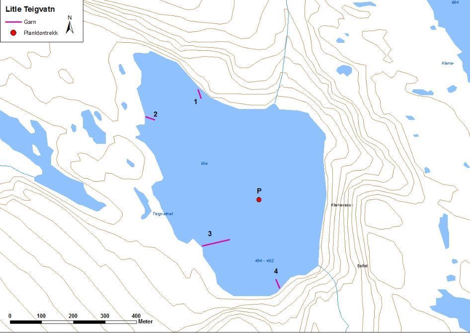 4.3.5 Litle Teigvatnet Litle Teigvatnet (figur 15 og bilete 6) ligg i Bremanger kommune. Vatnet er 0,30 km 2 stort, ligg 494 moh. og har ei reguleringshøgd på 32 meter.