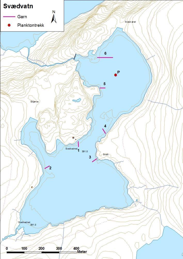 4.4 Sogn og Fjordane Energi Dei undersøkte lokalitetane hjå Sogn og Fjordane Energi var Svædvatnet, Botnastølsvatnet, Oslandsvatnet, Stongsvatnet og Stongstølsvatnet i Askvoll kommune.